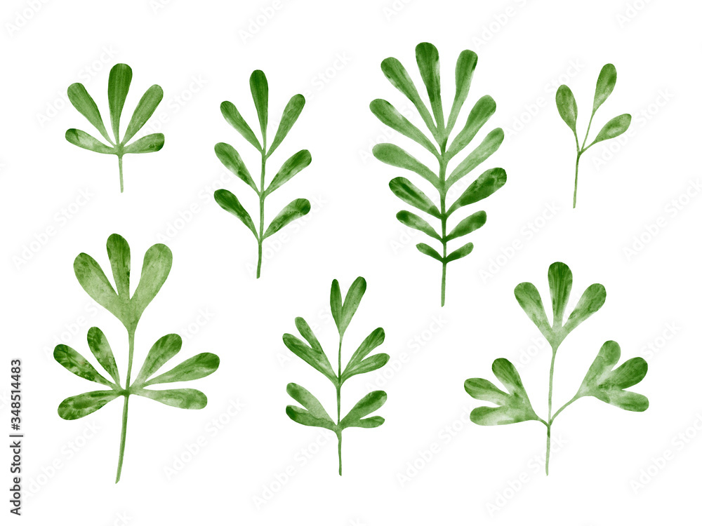 Set of green watercolor leaves prints isolated on white background. Collection of botanical scrapbook elements in minimal design Set of green watercolor leaves prints isolated on white background. Collection of botanical scrapbook elements in minimal design