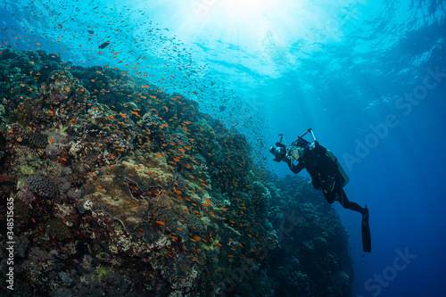 typical Red Sea tropical reef with hard and soft coral surrounded by school of orange anthias and a underwater photographer diver