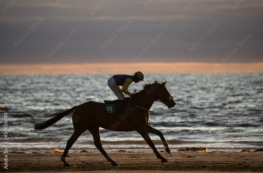 Silhouette of race horse and jockey racing on the beach at sunset, wild Atlantic way on the west coast of Ireland Silhouette of race horse and jockey racing on the beach at sunset, wild Atlantic way on the west coast of Ireland