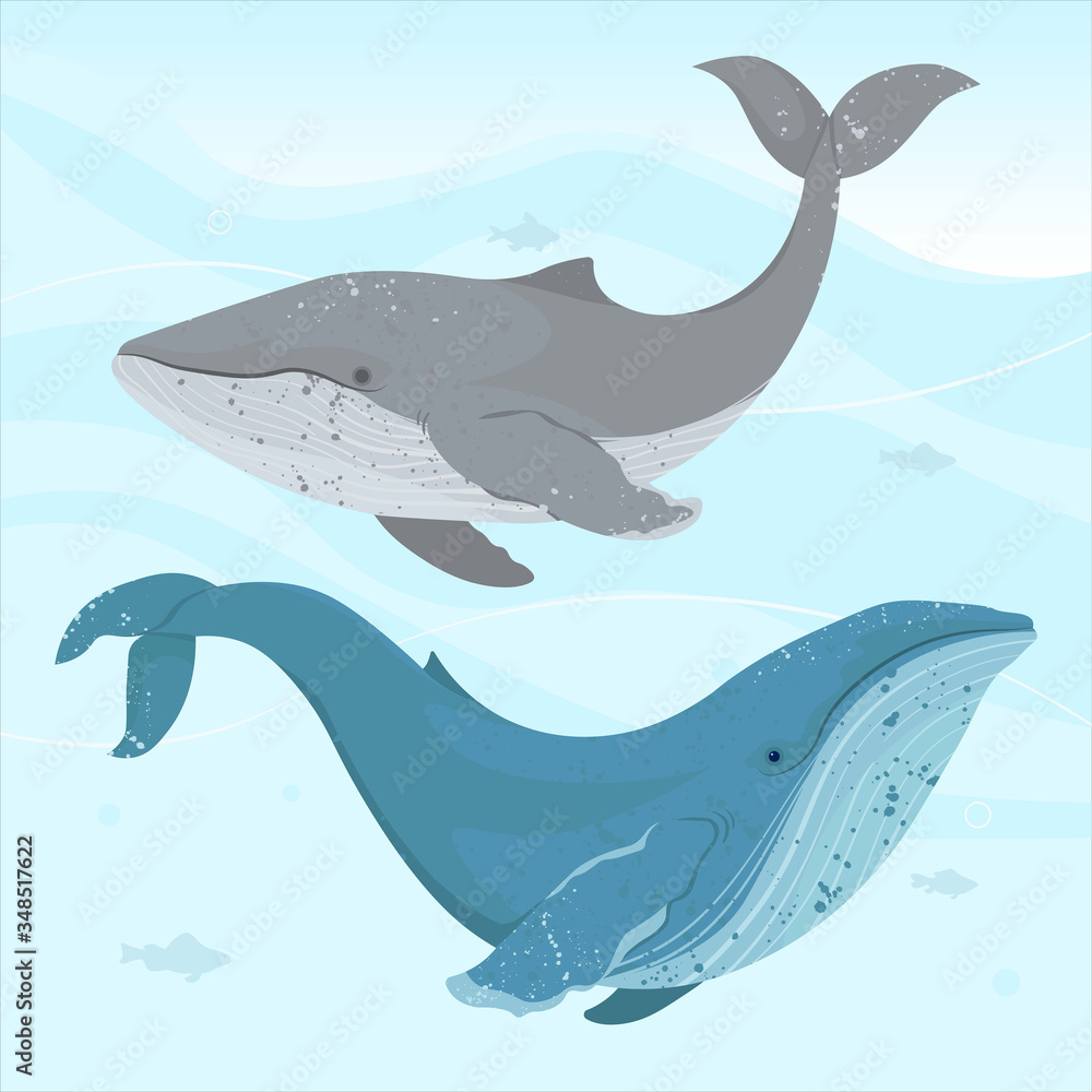 Fototapeta premium World Oceans Day Card Vector illustration. Help protect, and conserve world oceans, water, ecosystem.