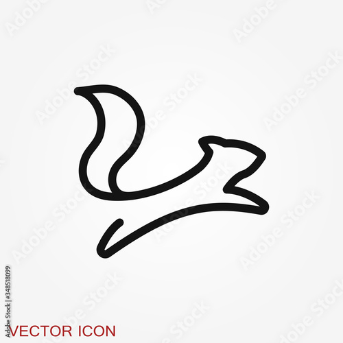 Squirrel vector icon isolated on a backgrounds.
