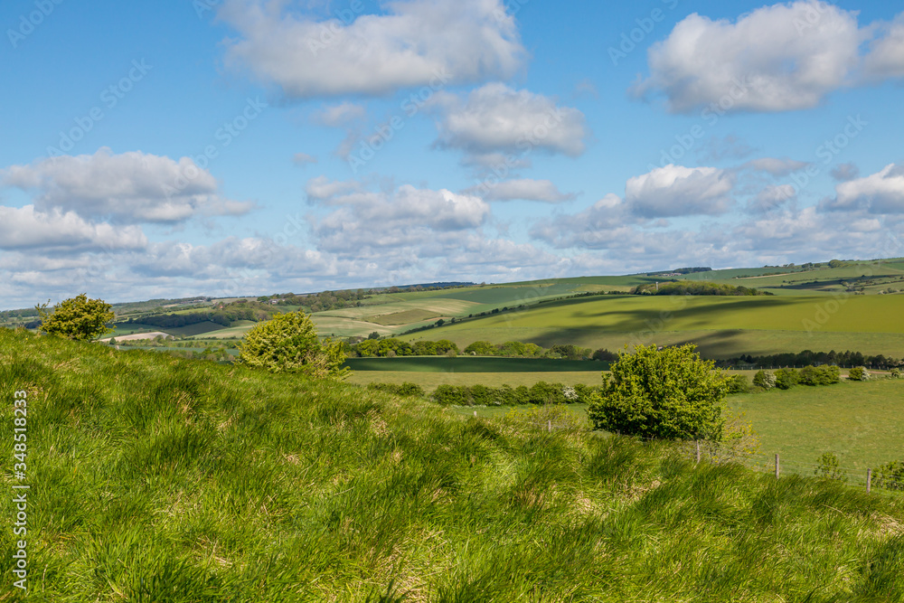 Obraz premium A Green South Downs Landscape