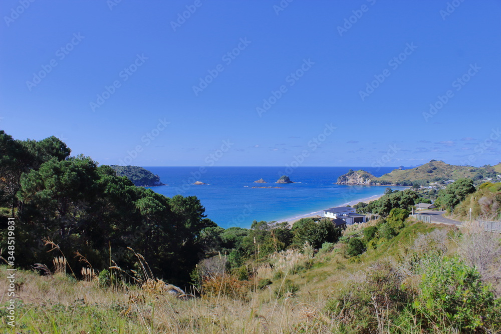 Ausblick auf den Pazifik Coromandel NZ
