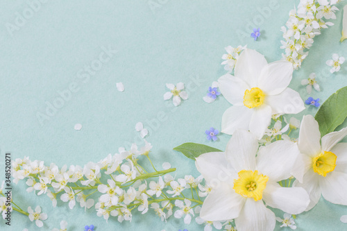 white spring flowers on paper background