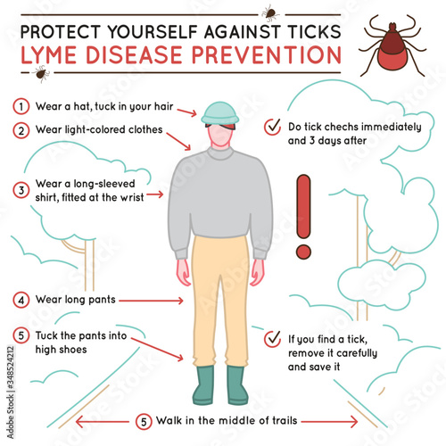 Tick disease poster