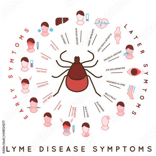 Tick disease icons