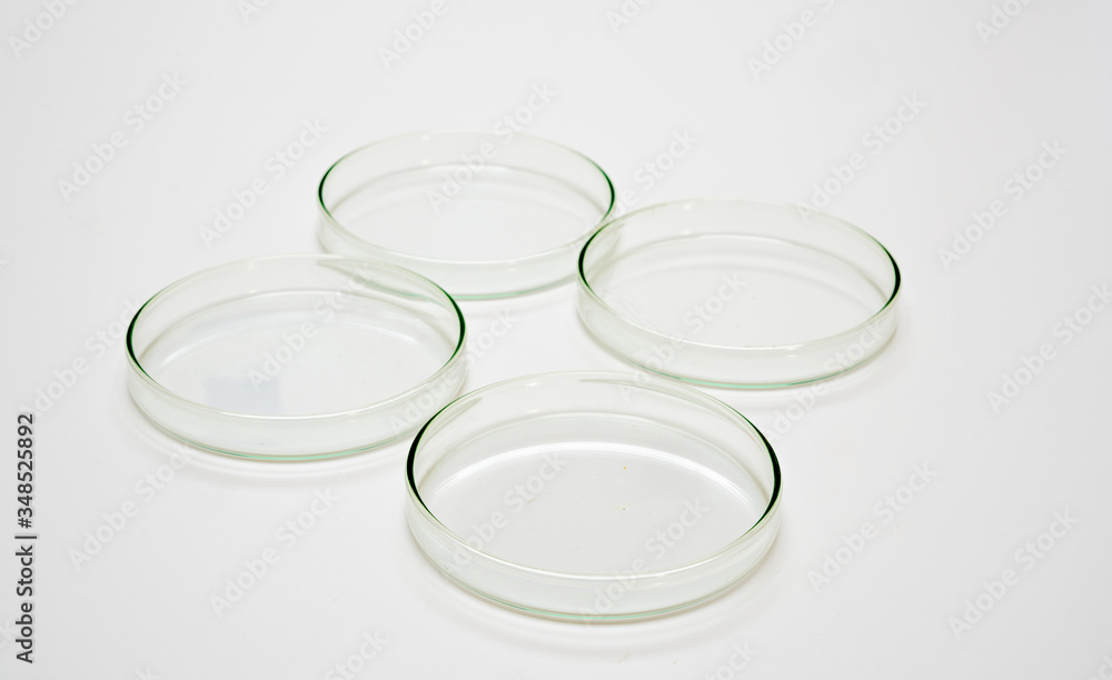 Empty petri dishes Empty petri dishes