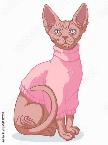 Sphynx cat sitting, dressed in a warm jacket