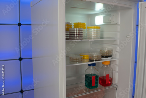 Petri dishes with samples of microorganisms in a laboratory refrigerator