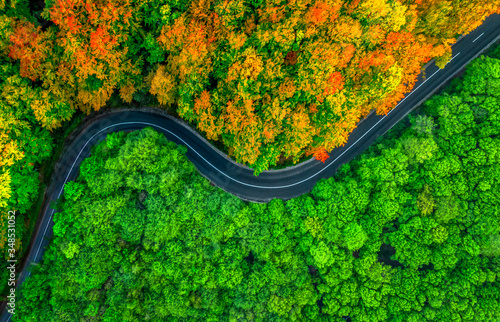 Winding road splitting thick forest in two seasons. Autumn and summer, aerial view photo
