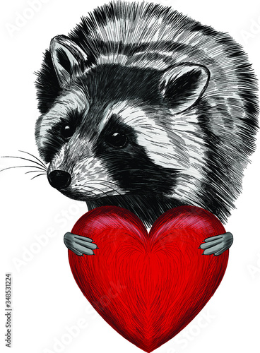 cute raccoon with a red heart