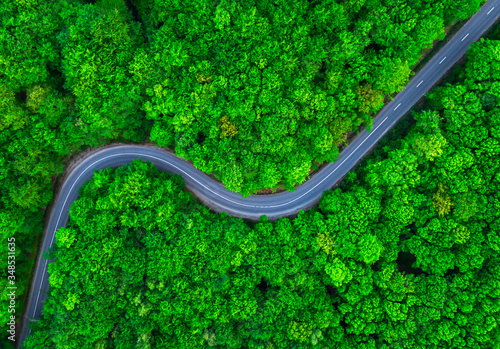 Aerial view of thick green forest in summer with road cutting through it © foto8tik