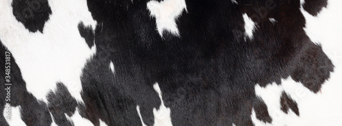 Obraz na płótnie closeup of part black and white hide of spotted cow w salonie