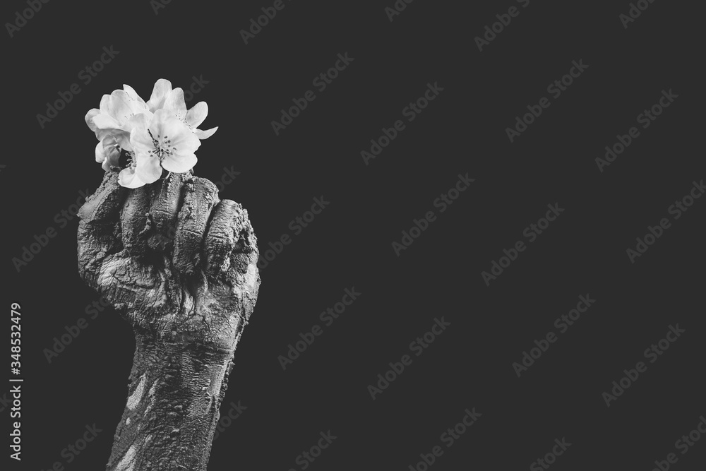 male hands in dried clay with a beautiful flower