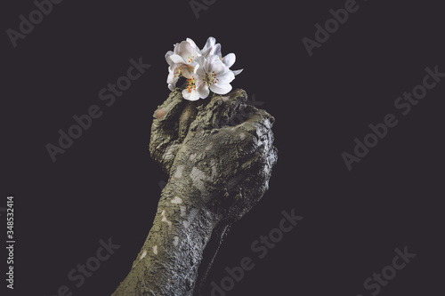 male hands in dried clay with a beautiful flower