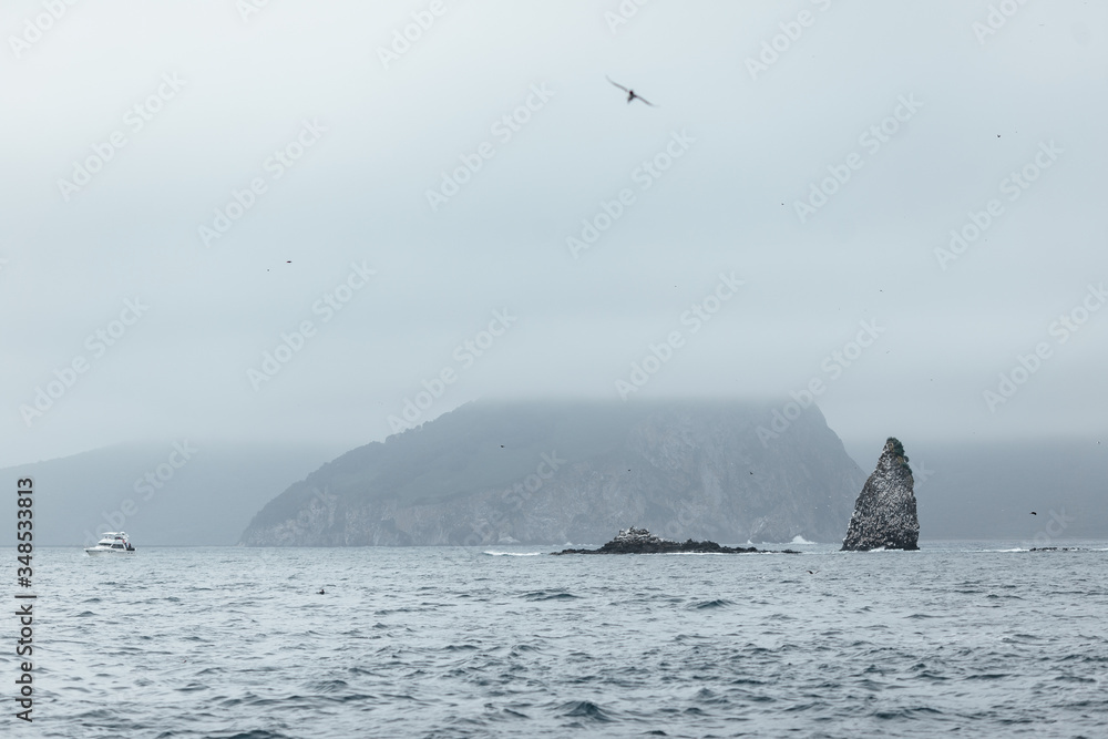 Fototapeta premium Cliffs in the pacific ocean