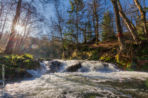 Fototapeta Naklejka Na Ścianę i Meble -  Harz Wasserfall Selketal Selkewasserfall