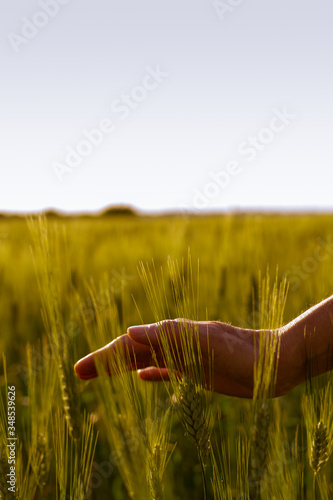 en contacto con la naturaleza al aire libre en el campo en primavera