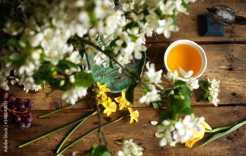 spring stillife,a cup of green tea and the blooming apple tree branch and the yellow daffodils on the table.view from above