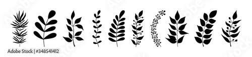 Set of black silhouettes of tropical leaves on an isolated white background. Botanical tree branches, palm leaf on the stem. Spring summer leaf. Concept design logo icons. Vector illustration.