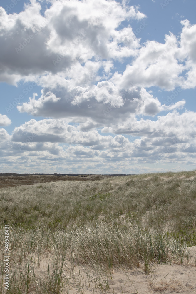 The Danish Western coast