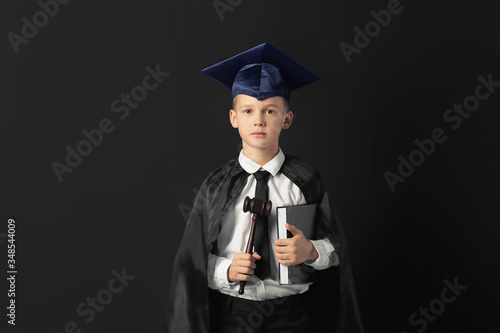Portrait of little judge on...