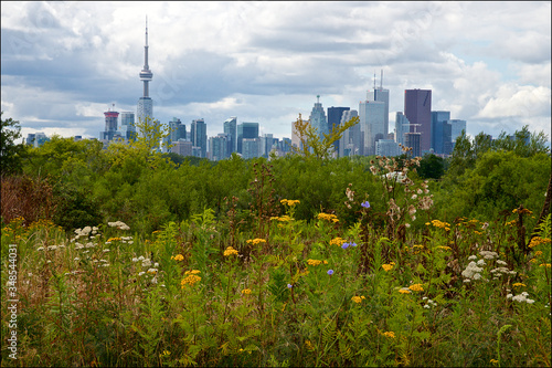 View of Toronto cityscape with natural parkland in the foreground.