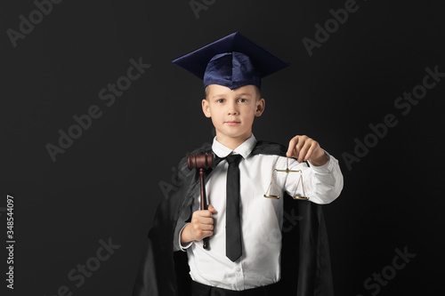 Portrait of little judge on...