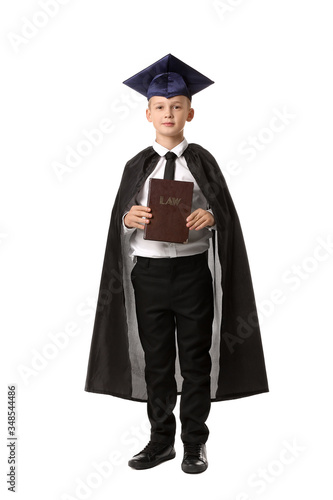 Portrait of little judge on...
