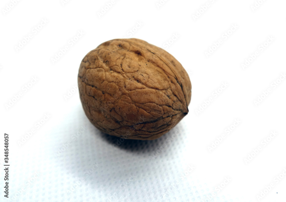 Wallnut on white. Wallnut on white.