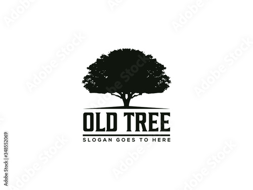 vintage old oak tree logo vector illustration