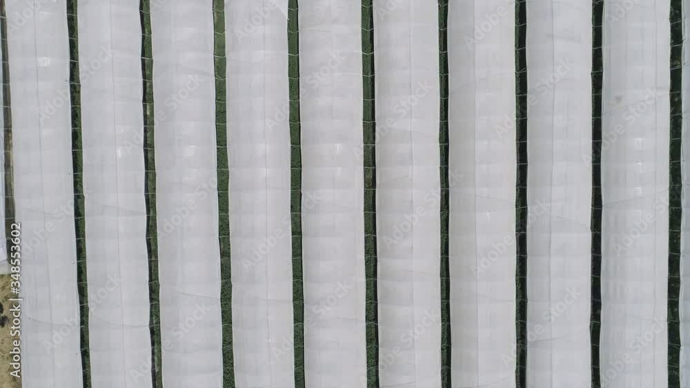 AERIAL DRONE CLOSE TOP-DOWN SHOT OF GREENHOUSE INDUSTRIAL AGRICULTURE AERIAL DRONE CLOSE TOP-DOWN SHOT OF GREENHOUSE INDUSTRIAL AGRICULTURE