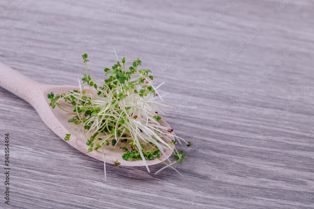 sprouted seeds, sprouts of micro green broccoli sprouted seeds, sprouts of micro green broccoli