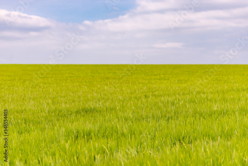 A flat field with a horizon