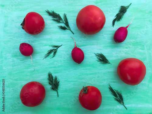 flatlay vegetable harvest