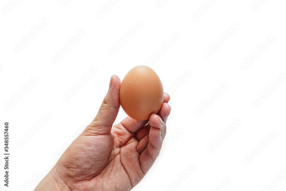 Male hand holding egg isolated on white background. Male hand holding egg isolated on white background.