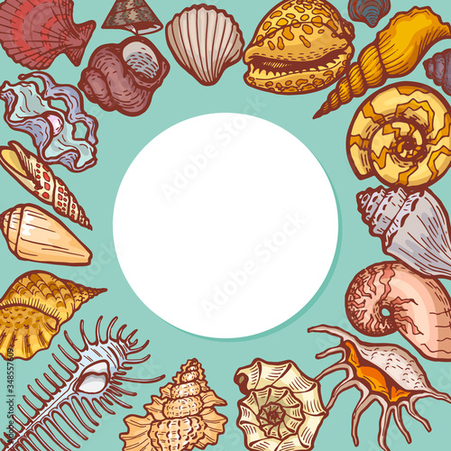 Shells round pattern concept banner cartoon vector illustration. Ocean cockleshell seashell icon text business placement advertising flyer wrapping paper, celebrate design packaging travel item stuff.