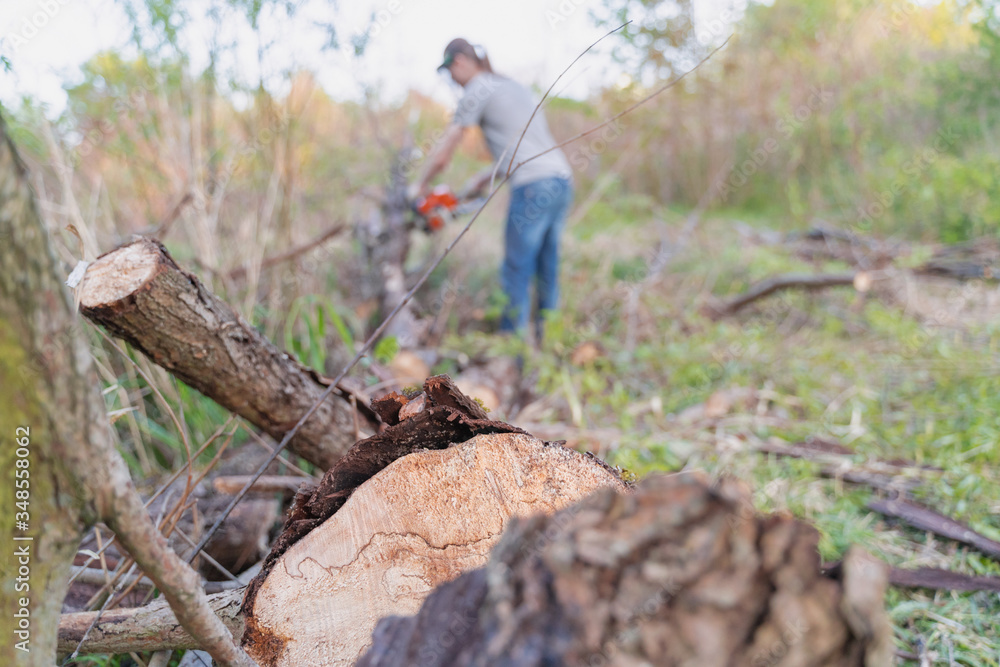 farmer sawing a tree with a chainsaw, selective focus, focus on the foreground, blurry background farmer sawing a tree with a chainsaw, selective focus, focus on the foreground, blurry background