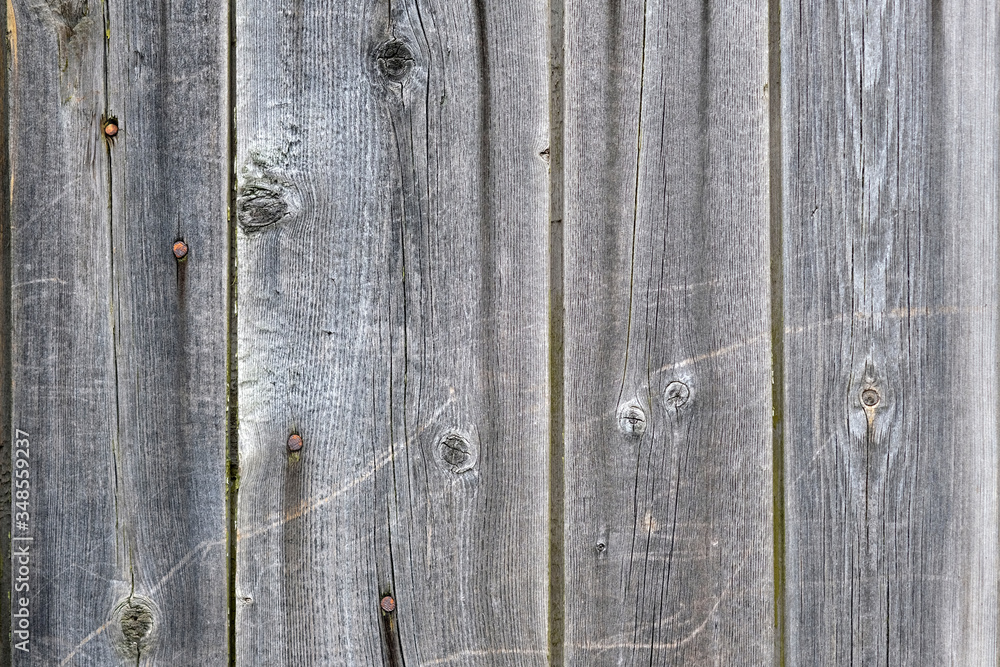 Gray wooden vertical boards with nails background. Texture of an old fence made of wood. Not painted old wooden surface. copy space Gray wooden vertical boards with nails background. Texture of an old fence made of wood. Not painted old wooden surface. copy space