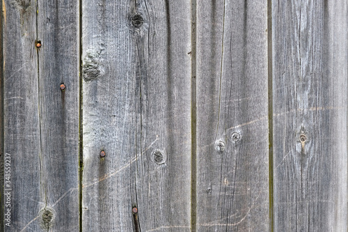 Gray wooden vertical boards with nails background. Texture of an old fence made of wood. Not painted old wooden surface. copy space © Tetiana