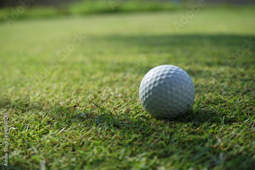 Golf ball is on a green lawn in a beautiful golf course