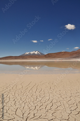 lake Bolivia salar de yuni oasis laguna with llama
