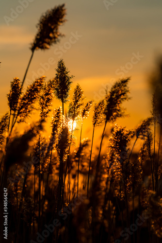 Russia  sunset on spring lake