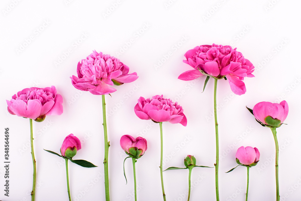 Obraz premium Border of pink peony flowers, branches and leaves on light background. Flat lay, top view.