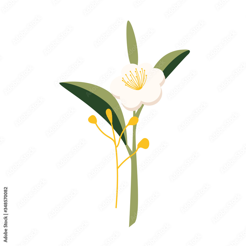 Hand-drawn by Camellia sinensis. Branch of green tea. Chinese flower with petals. Cartoon flower illustration isolated on a white background.