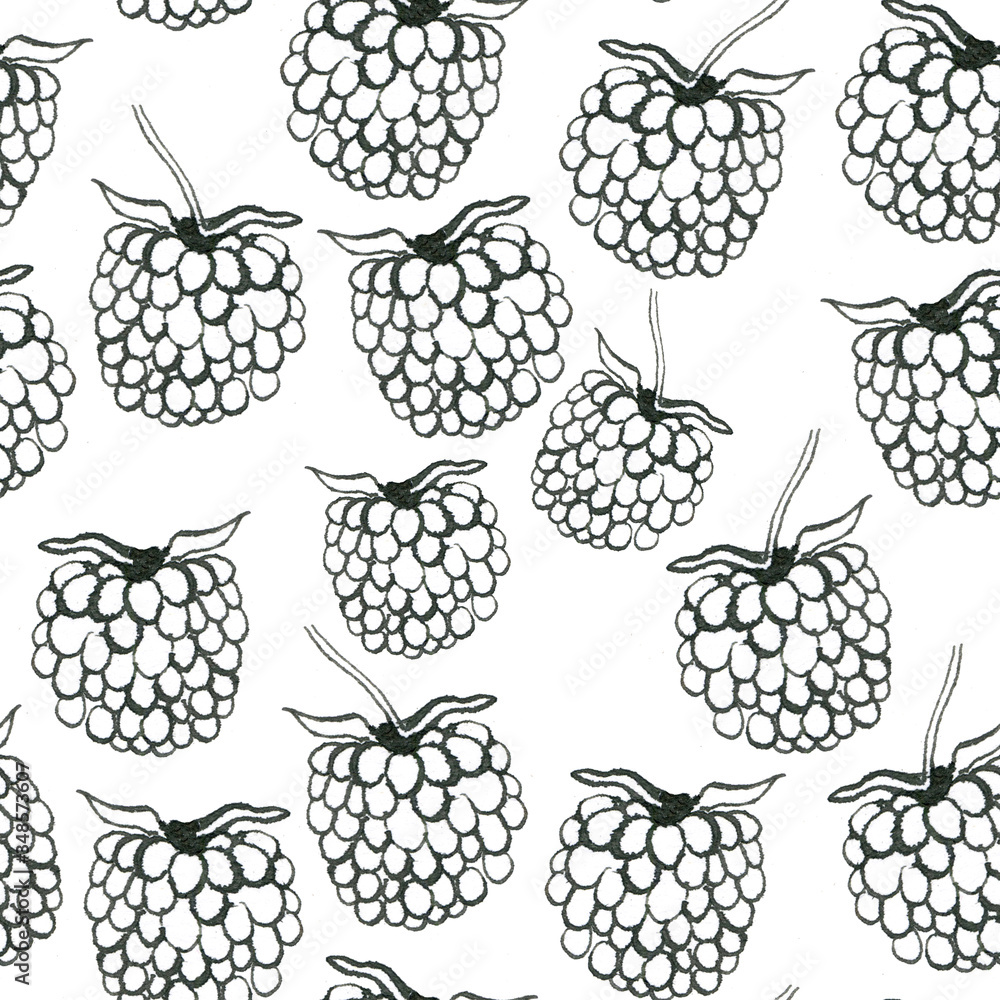 Black and white ink illustration of raspberry. Hand drawn pattern isolated on white background. Black and white ink illustration of raspberry. Hand drawn pattern isolated on white background.