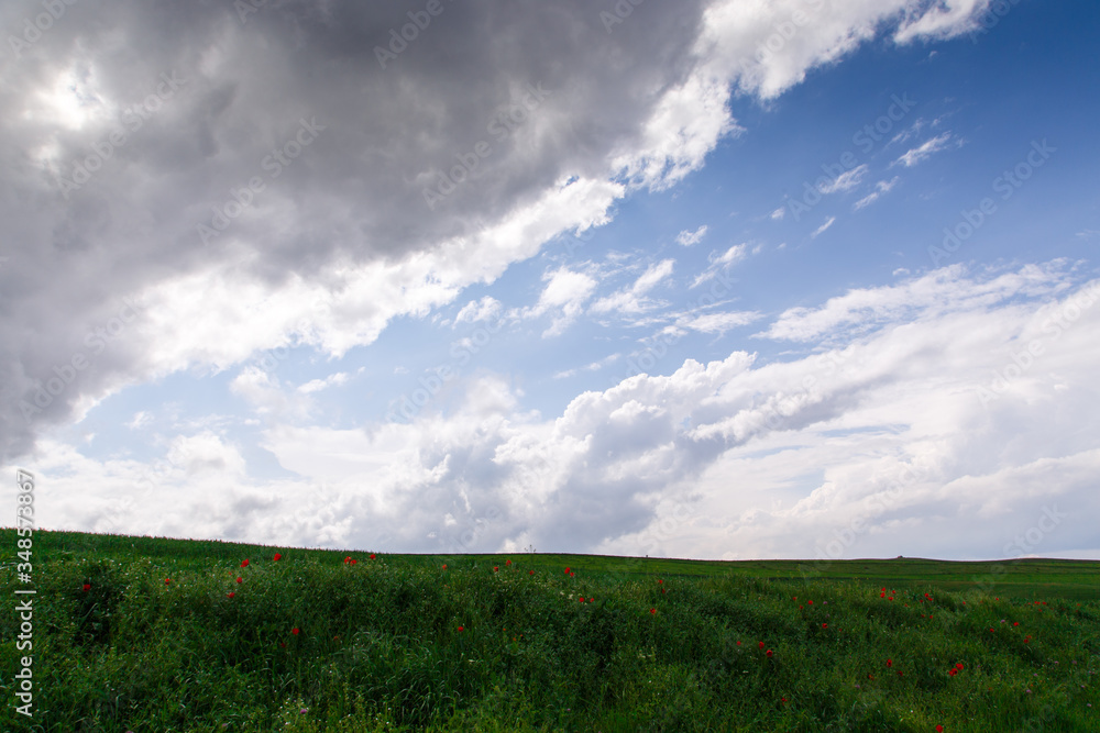 Cumulus clouds on a blue sky. Over the green field. Spring flowering grass. Summer natural background