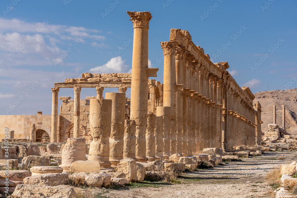 Roman Ruins in Palmyra, Syria Roman Ruins in Palmyra, Syria
