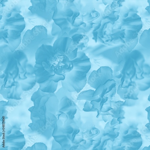 Blue color abstract background. Floral gradient background, delicate carnation flowers pattern