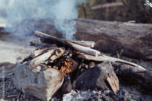bonfire in the forest on a sunny day
